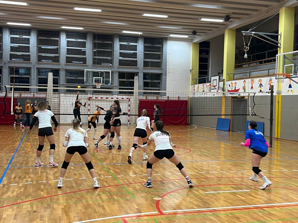 Novo mesto open 2023
