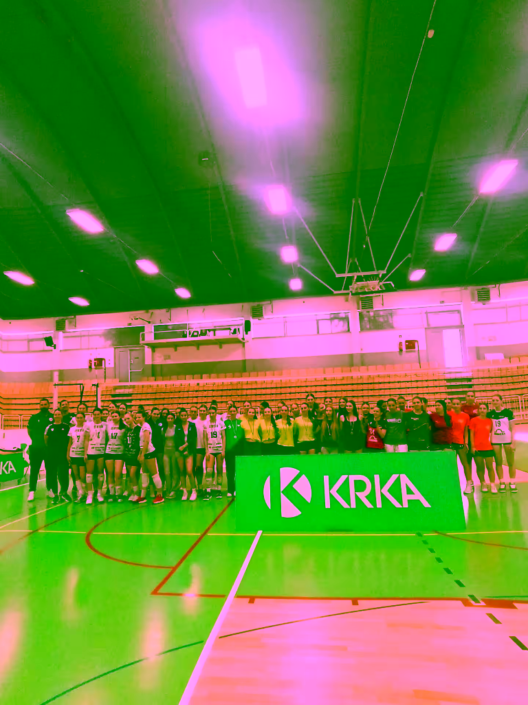 Rudolfov turnir – pokal Novega mesta